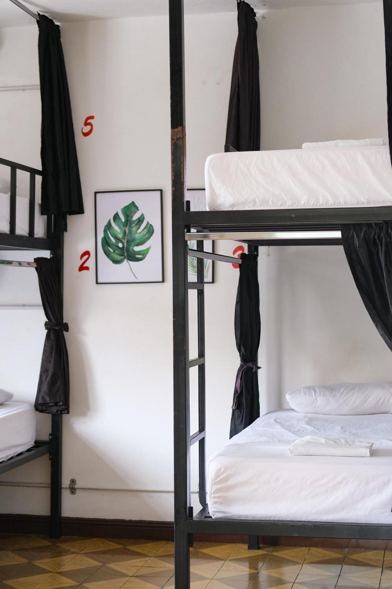 La Palmera Hostel كالي المظهر الخارجي الصورة